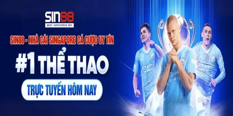 Giới thiệu nền tảng đặt uy tín châu á SIN88
